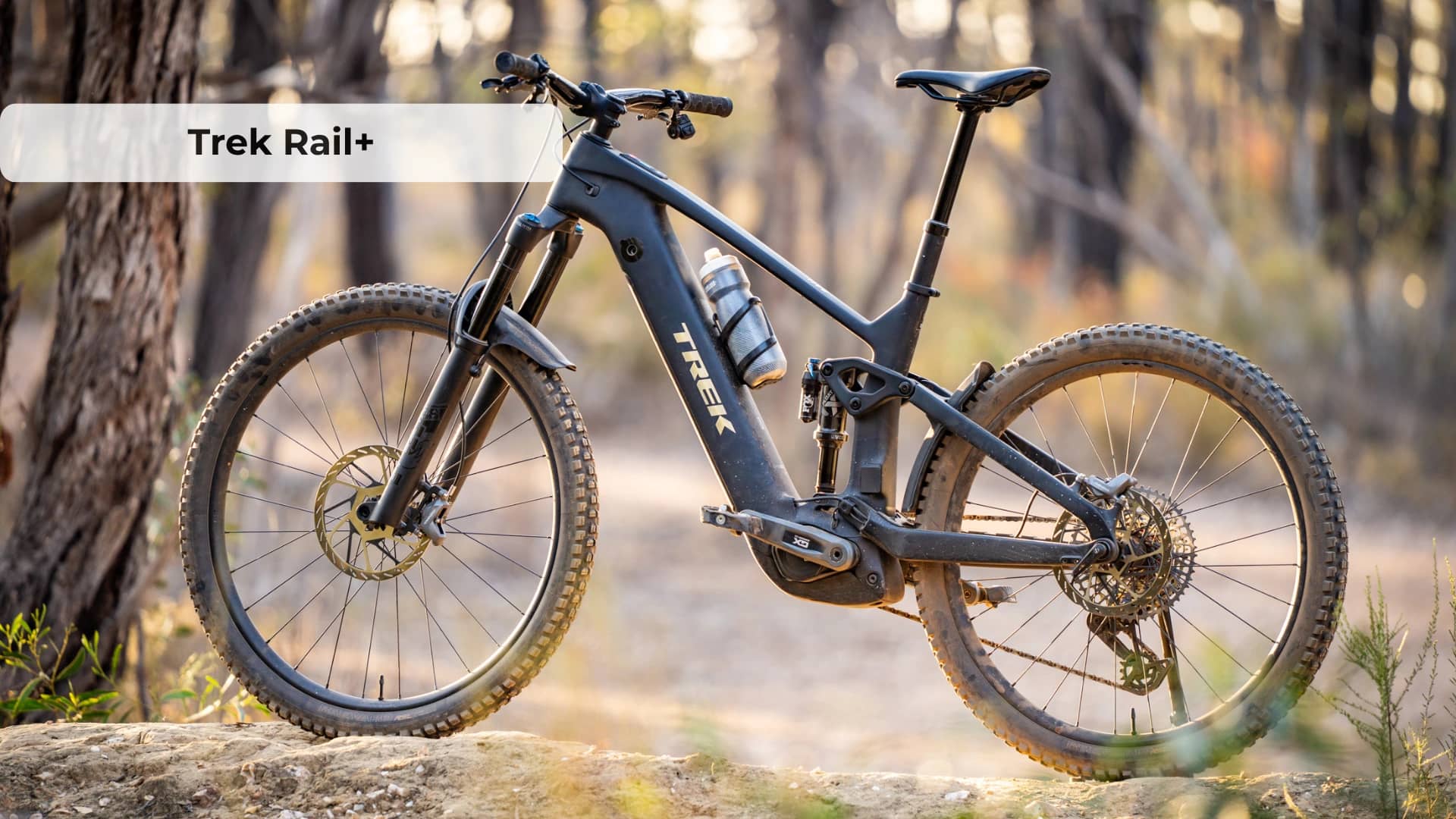 Trek Rail+ 5 Gen 5 Review: Budget Full-Power Electric Mountain Bike