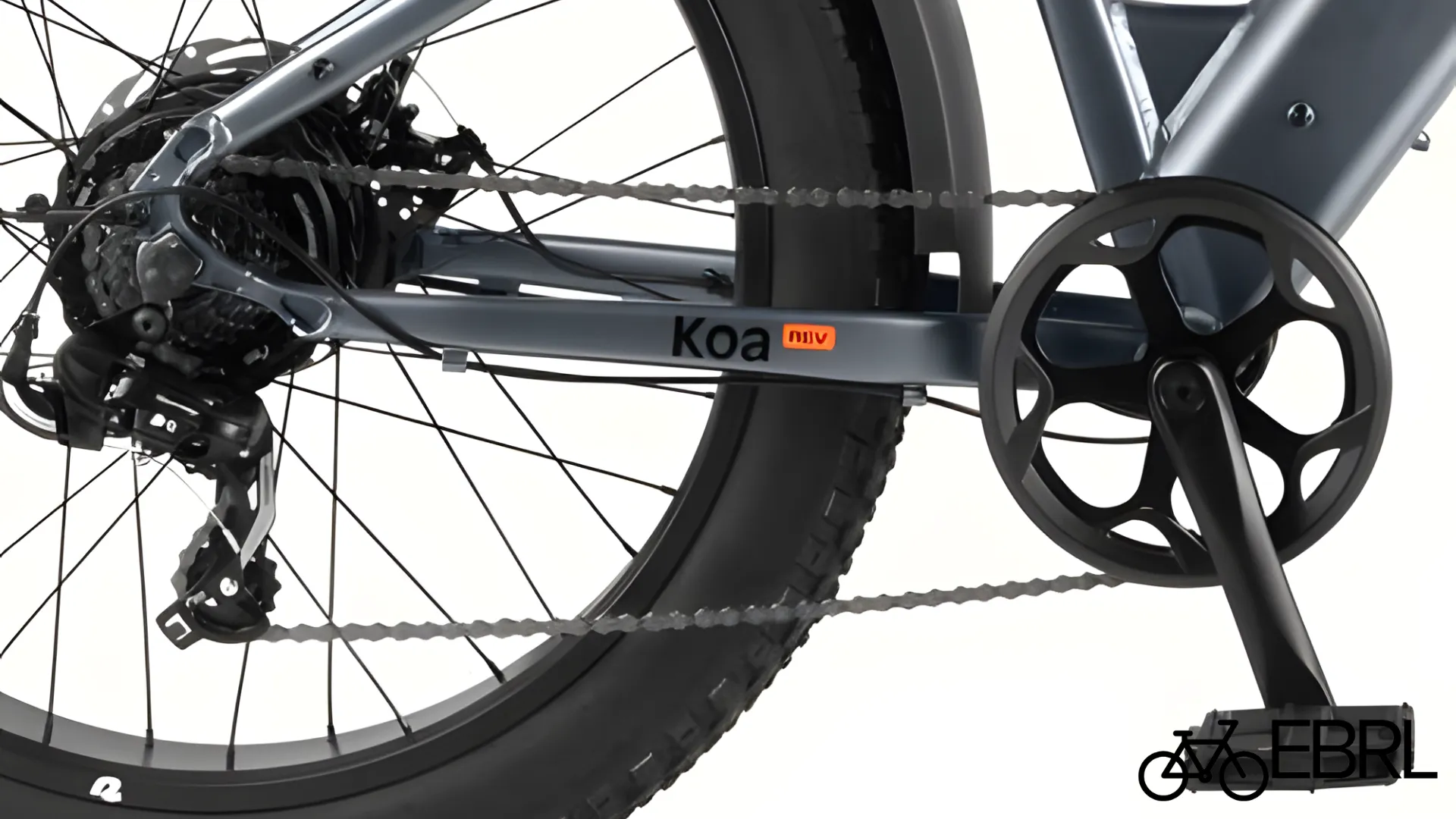 Retrospec Koa Rev 2 500W rear hub motor close-up