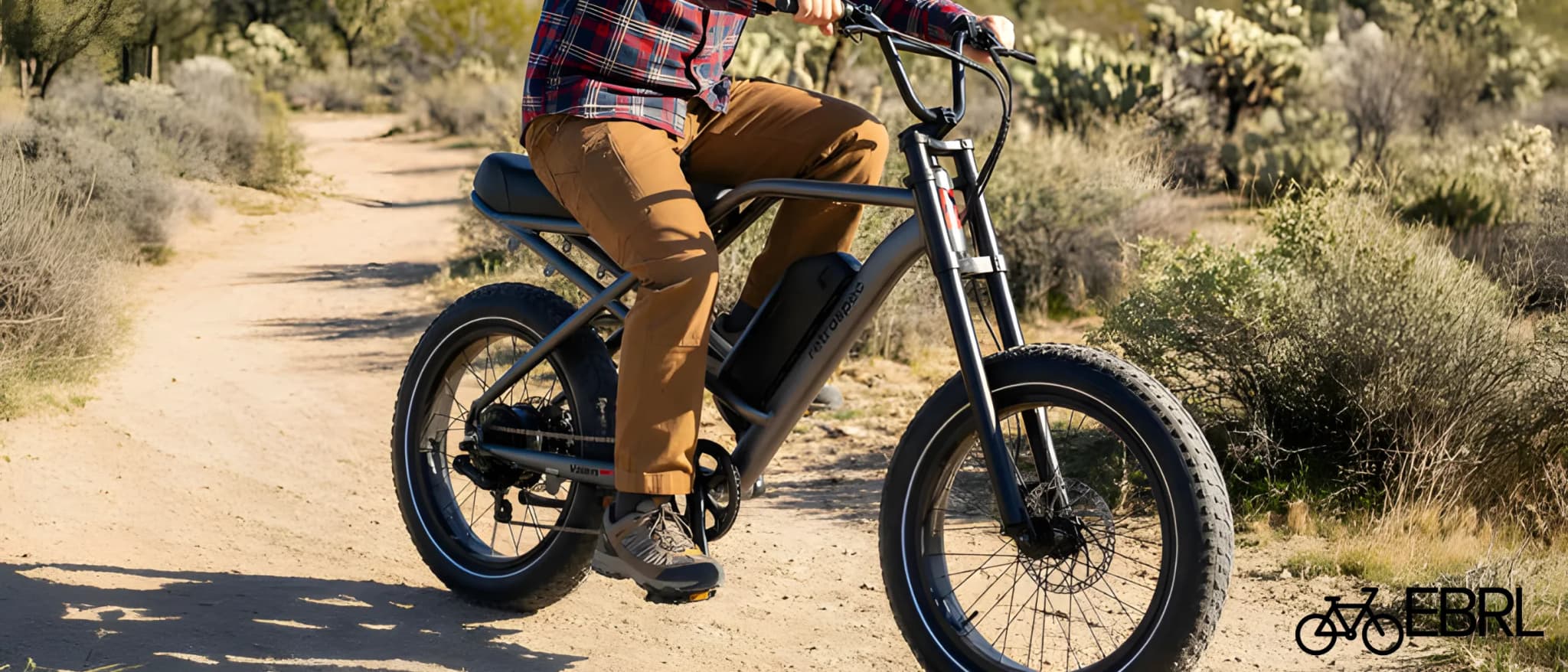 Retrospec Valen Rev 3 fat tire electric bike in Matte Graphite against a white background