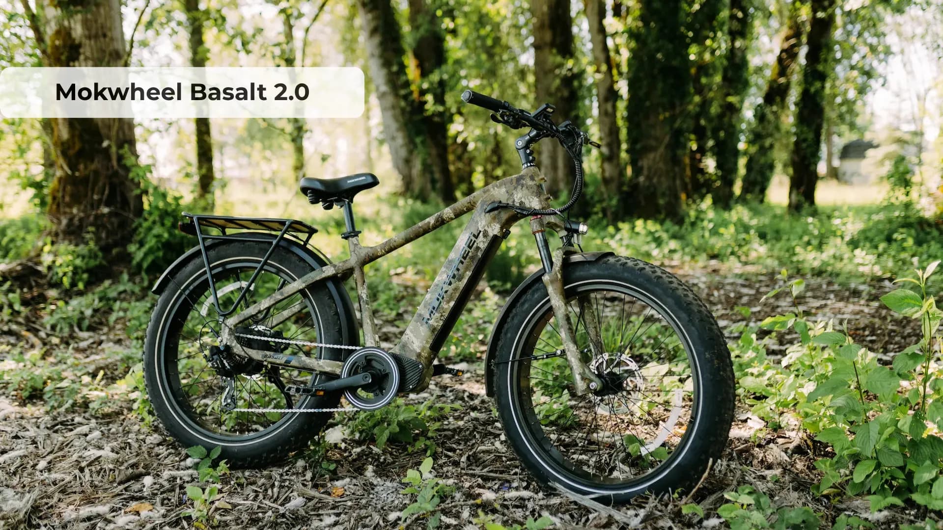 Mokwheel Basalt 2.0 electric fat bike in Phantom Black on mixed terrain