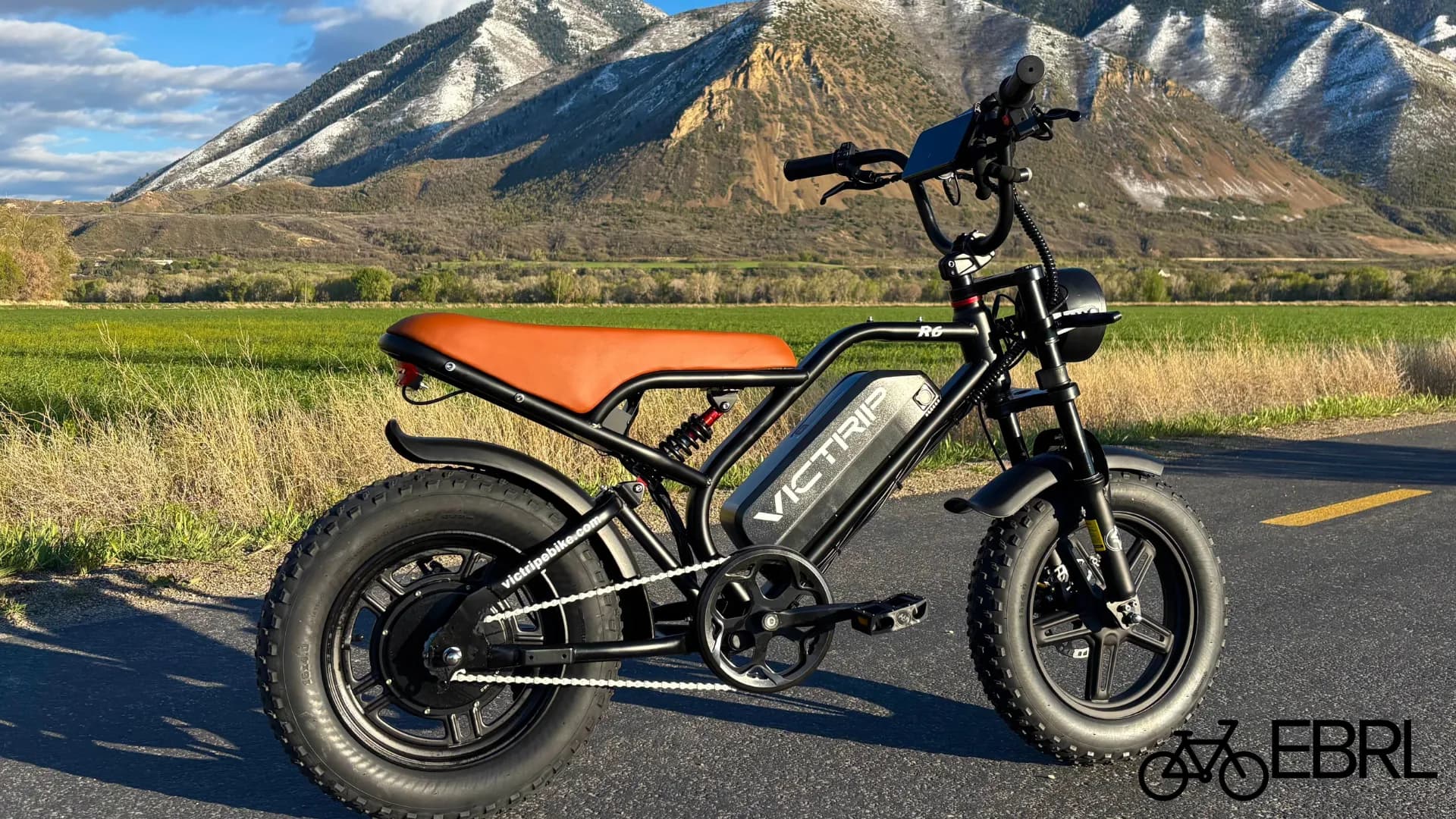 Shopper comparing commuter, cargo, and trail electric bike types