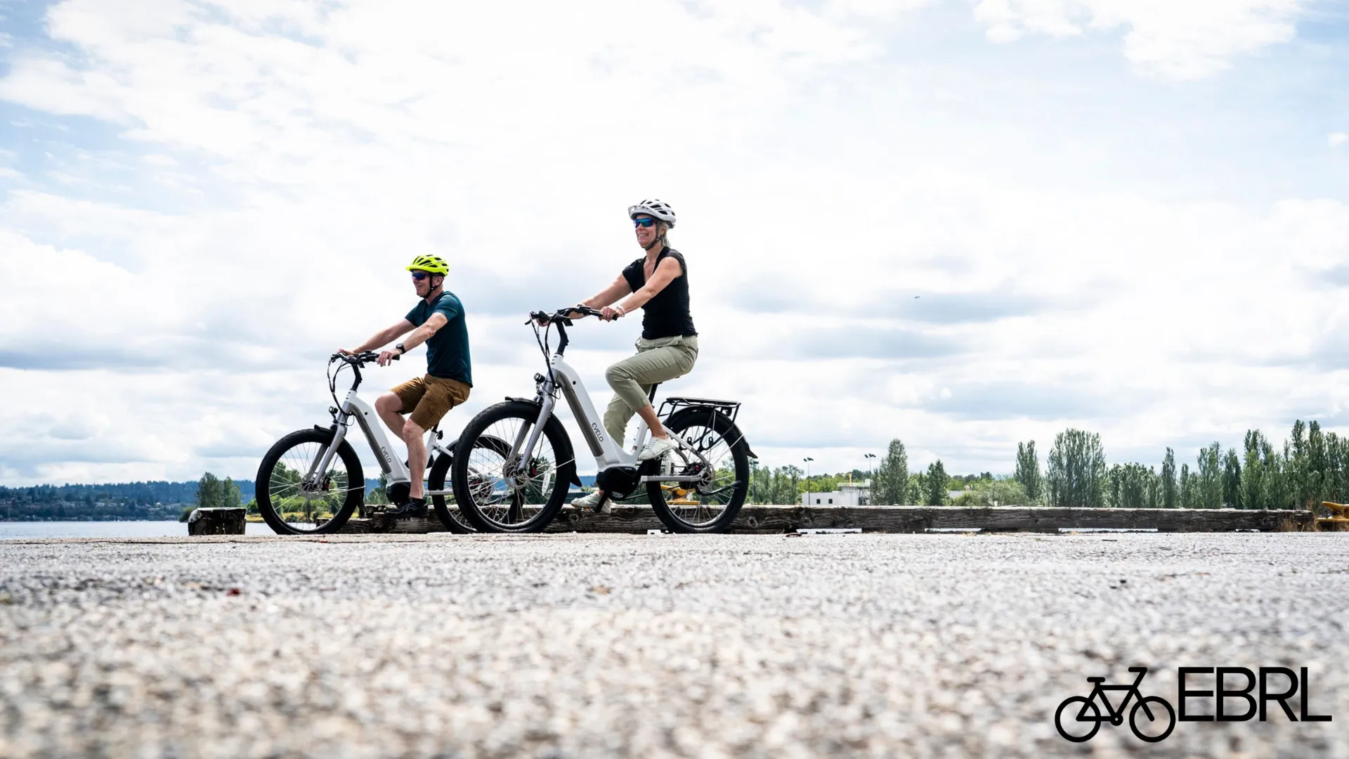 E-bike battery, motor, controller, sensor, and display components